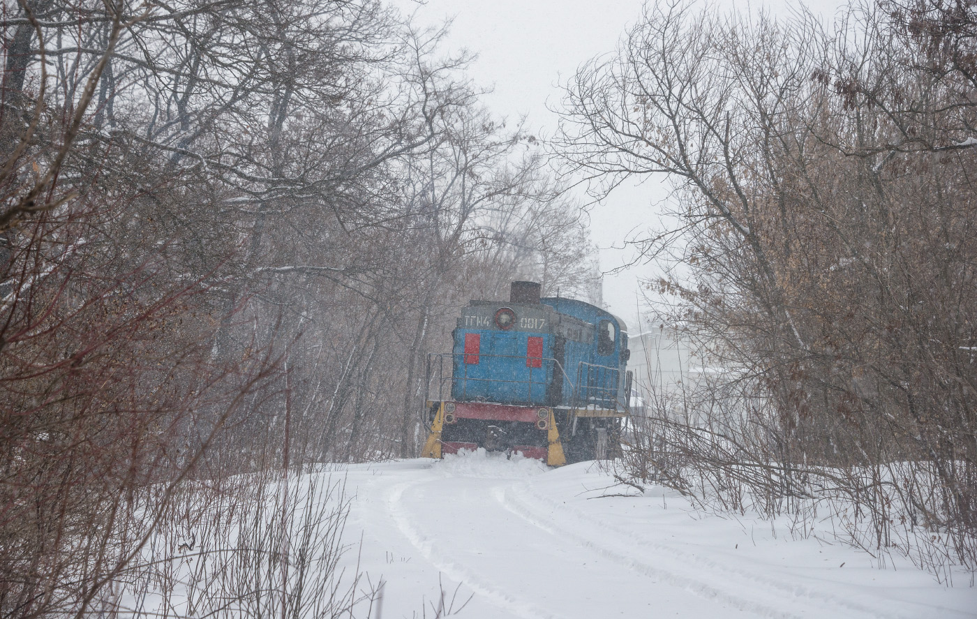 ТГМ4-0017, Кропивницьке ППЗТ. Кропивницький