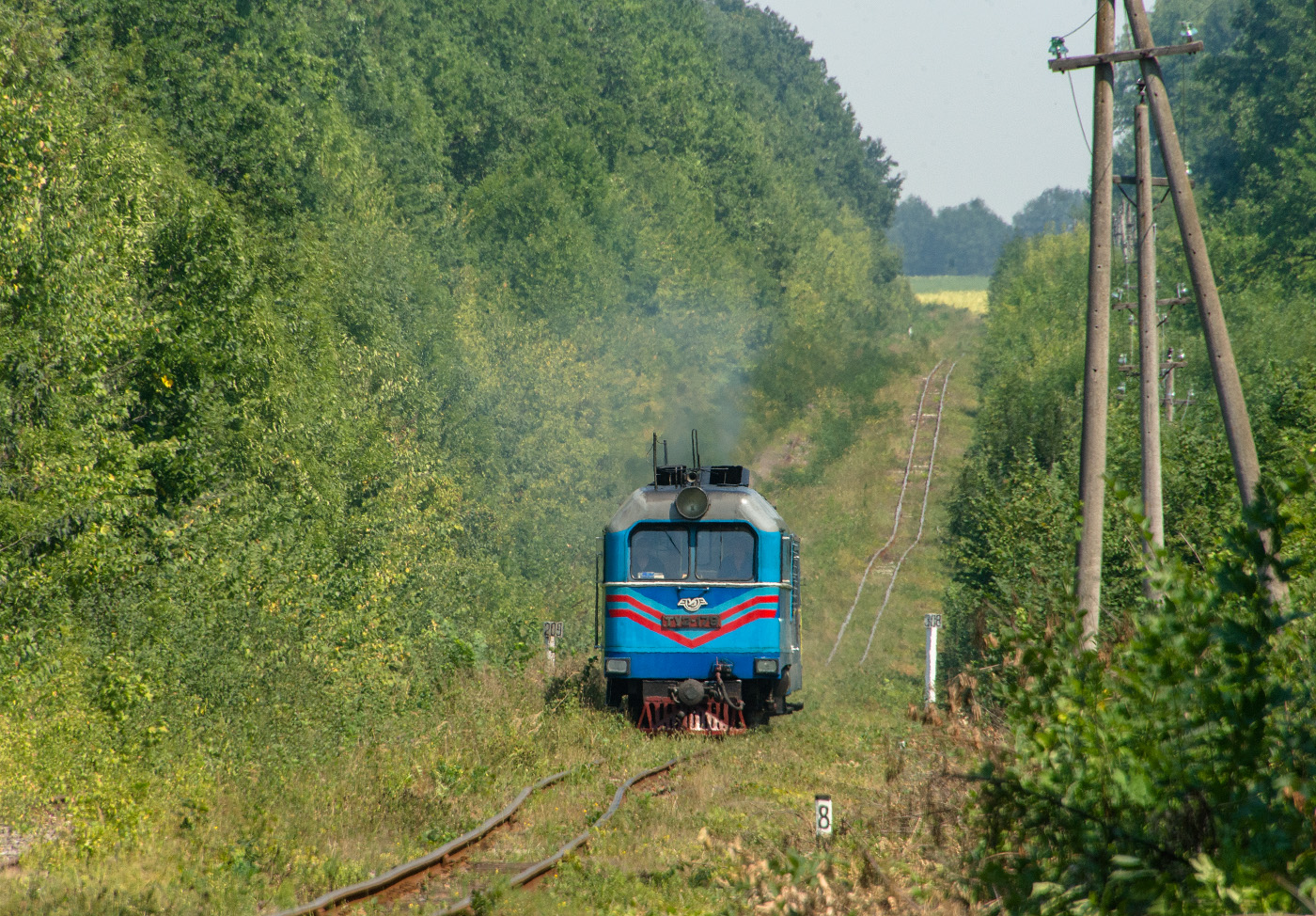 Тепловоз ТУ2-179 з приміським потягом Голованівськ - Гайворон на перегоні Грушка - Гайворон. Кіровоградська область