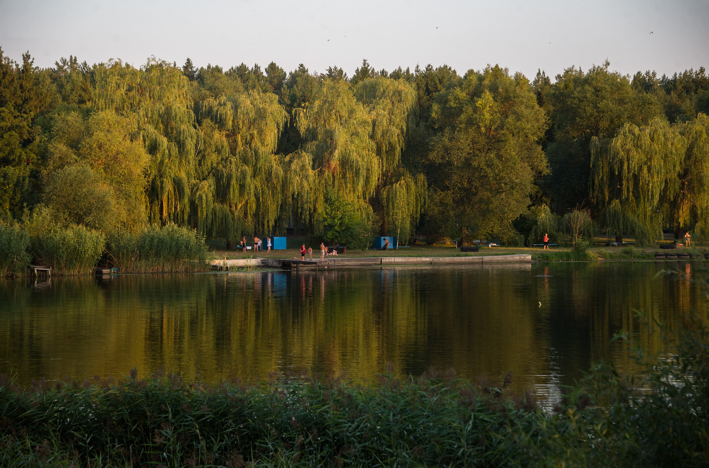 Відпочинкова зона на р. Південний Буг. Кіровоградська область, Гайворон