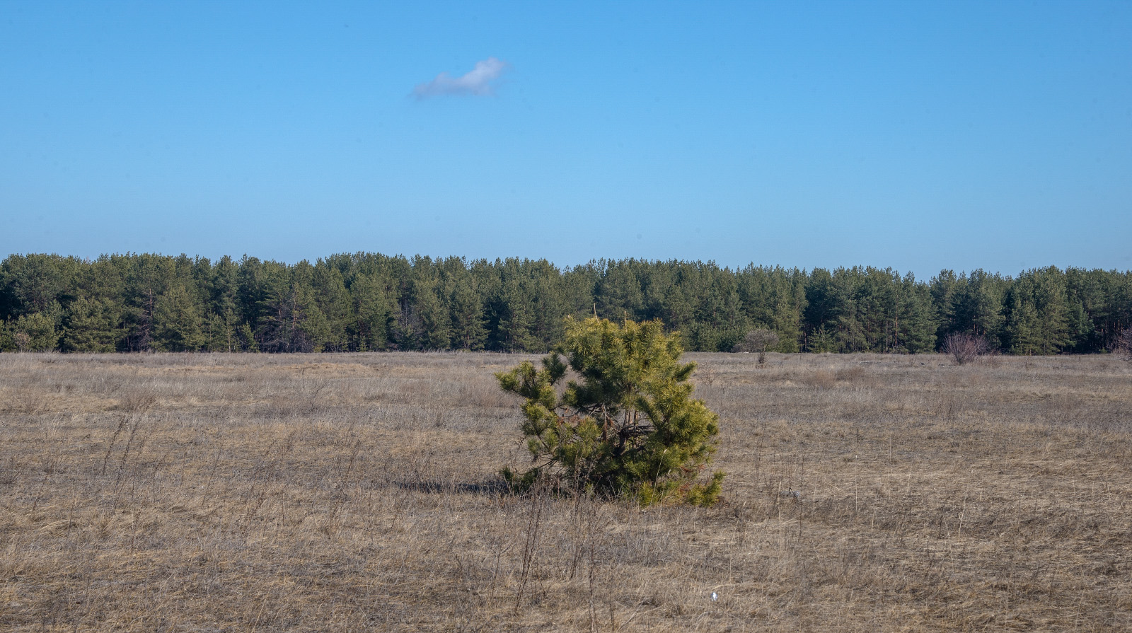. Донецька область, Лиманський район, узбережжя Оскільського водосховища