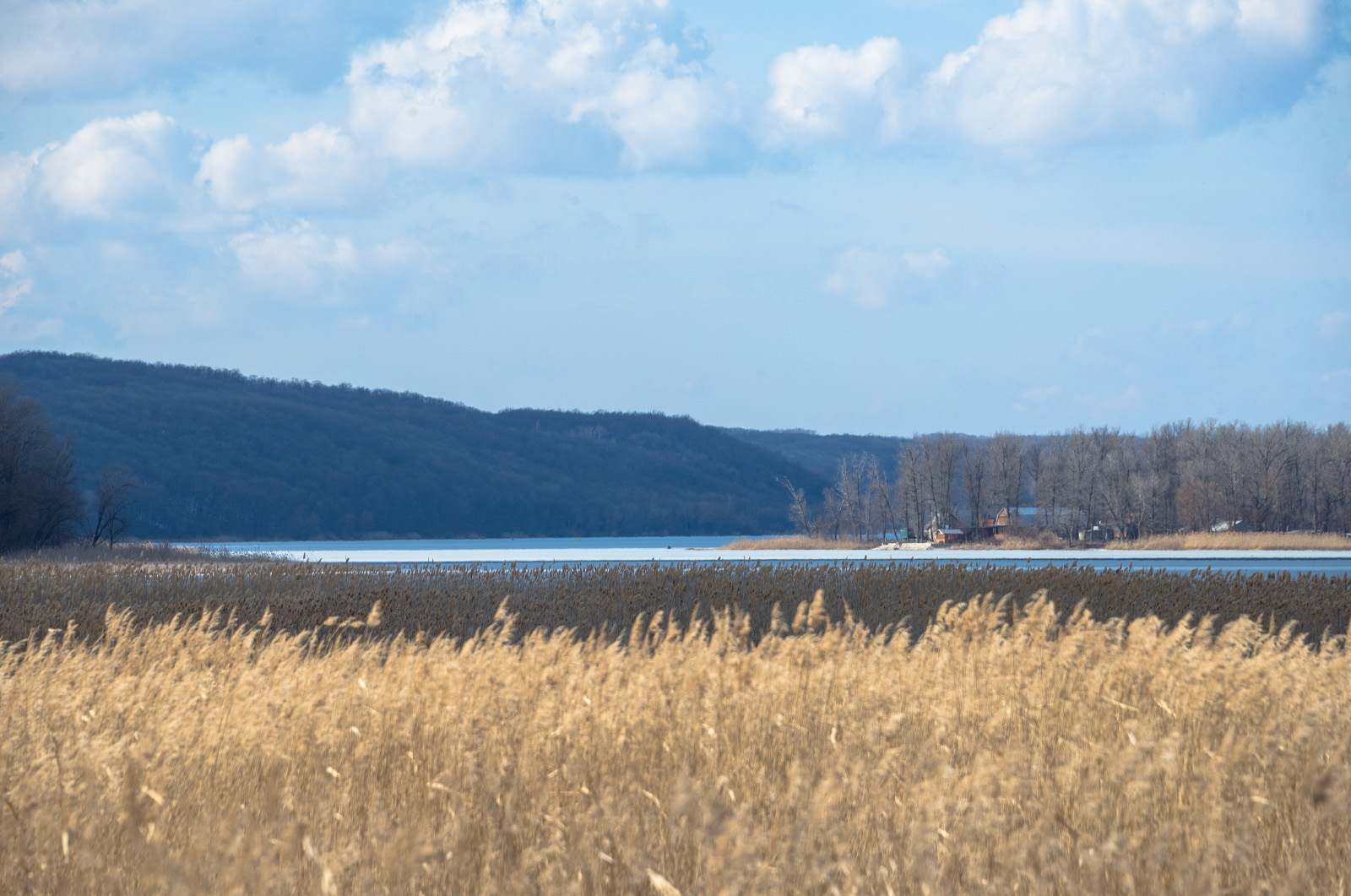 . Донецька область, Лиманський район, узбережжя Оскільського водосховища