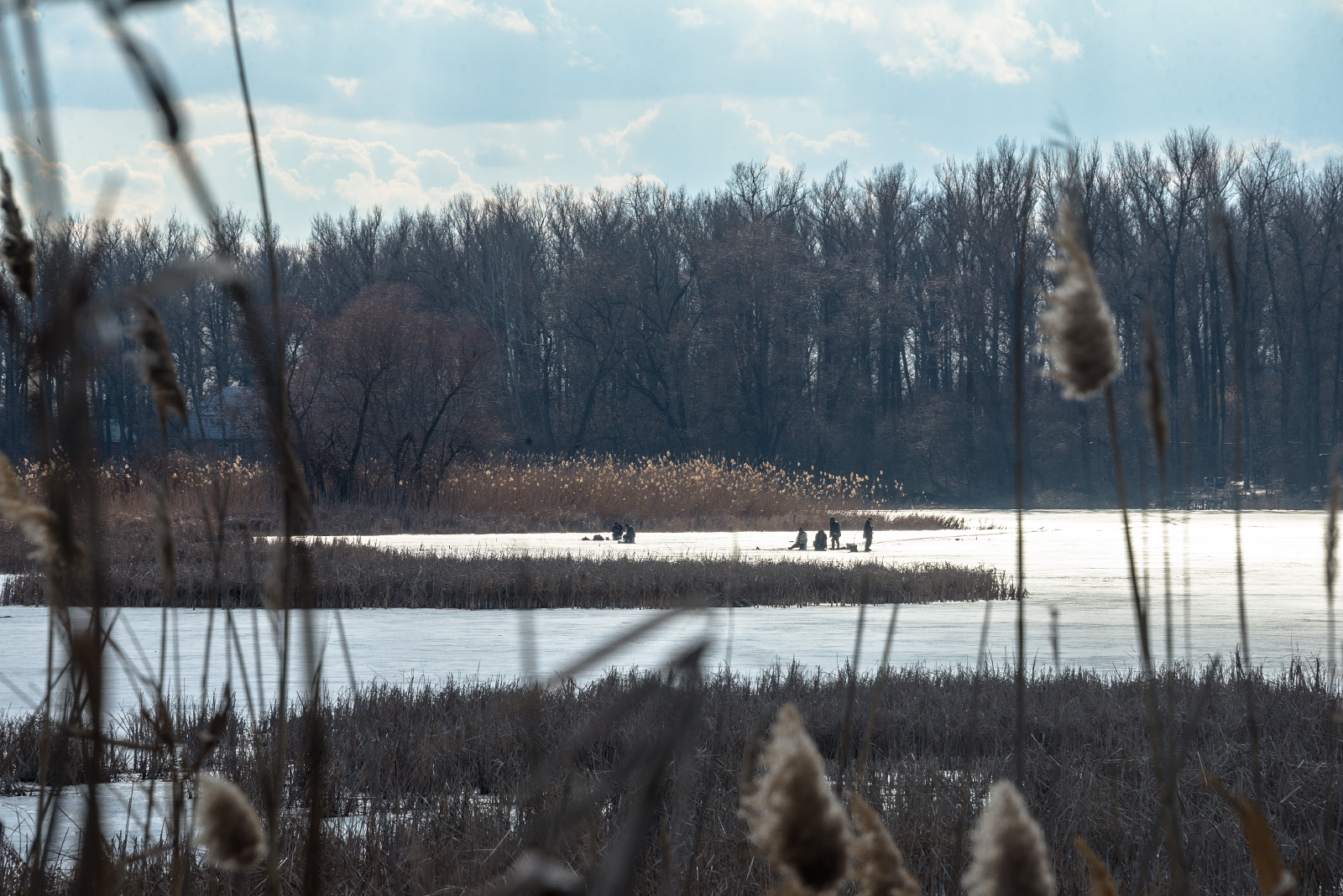 . Донецька область, Лиманський район, узбережжя Оскільського водосховища