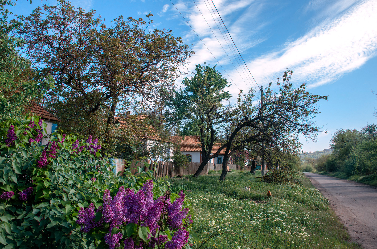 . Україна, Дніпропетровська область, Кривий Ріг
